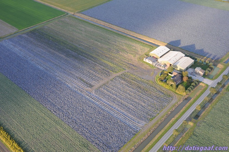 Copyright &copy DatisGaaf.com