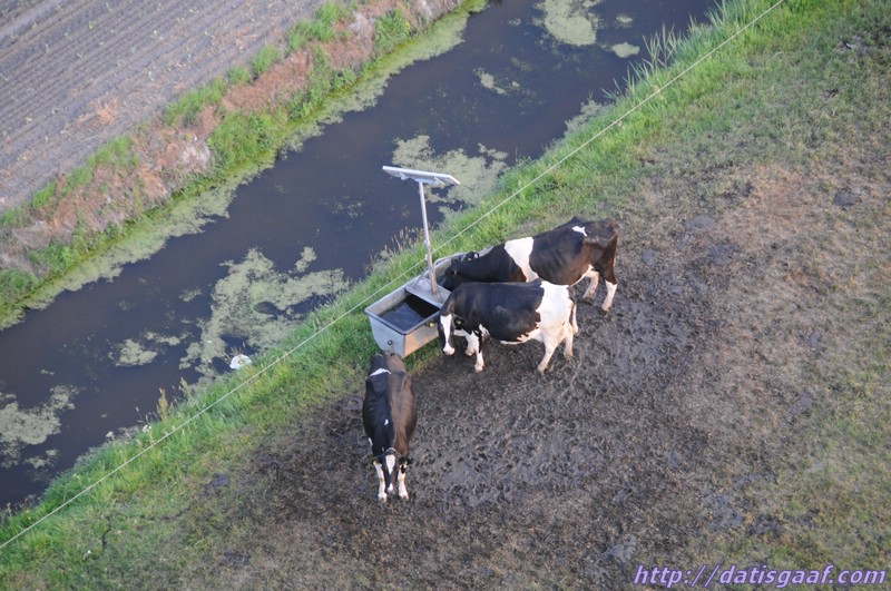 Copyright &copy DatisGaaf.com