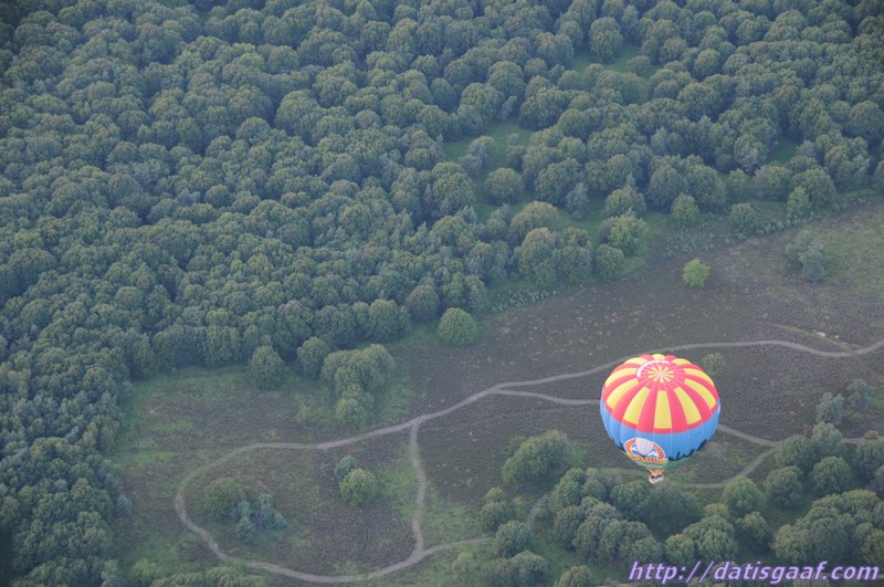 Copyright &copy DatisGaaf.com