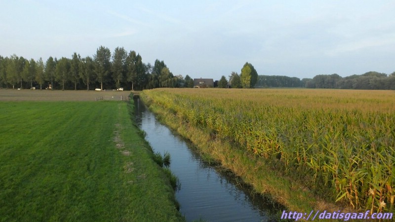 Copyright &copy DatisGaaf.com