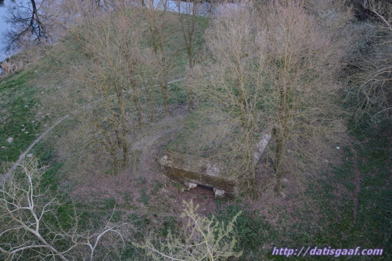 Copyright &copy DatisGaaf.com