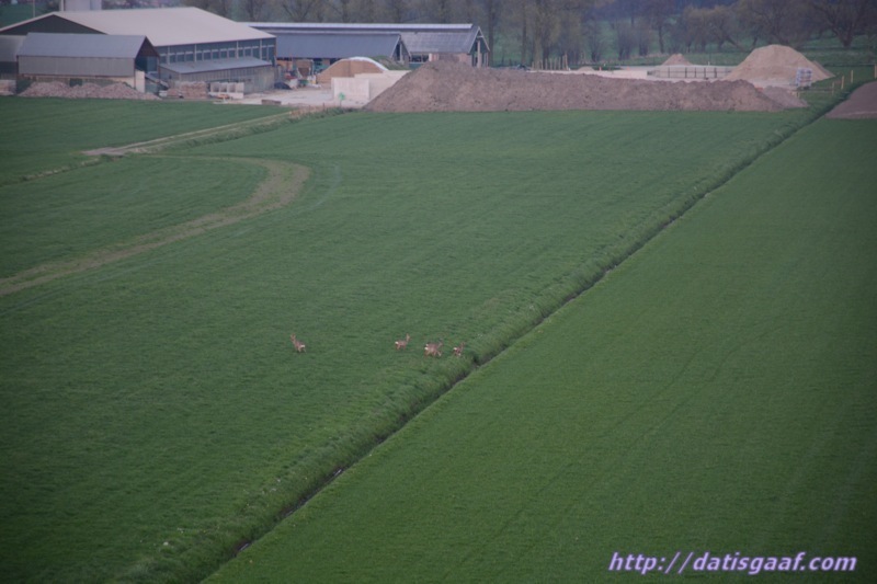 Copyright &copy DatisGaaf.com