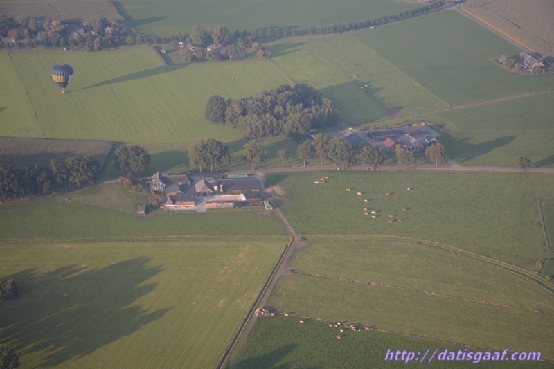 Copyright &copy DatisGaaf.com