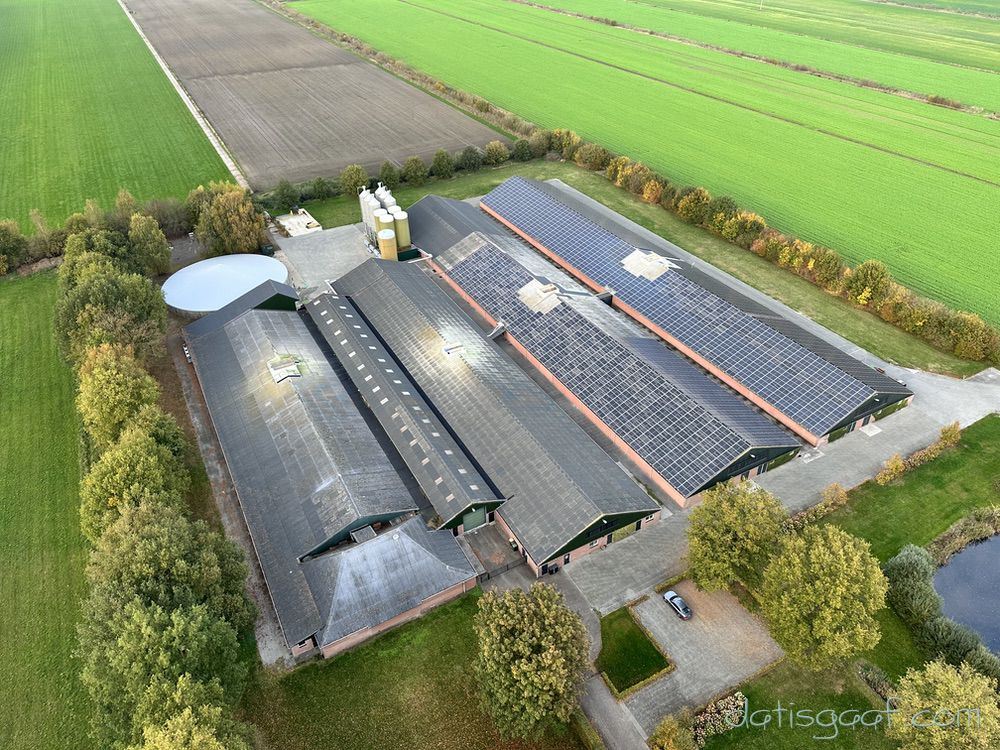 Copyright &copy DatisGaaf.com