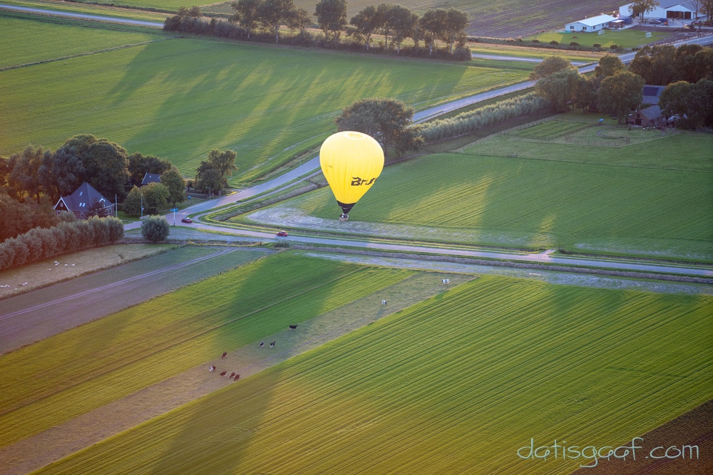 Copyright &copy DatisGaaf.com