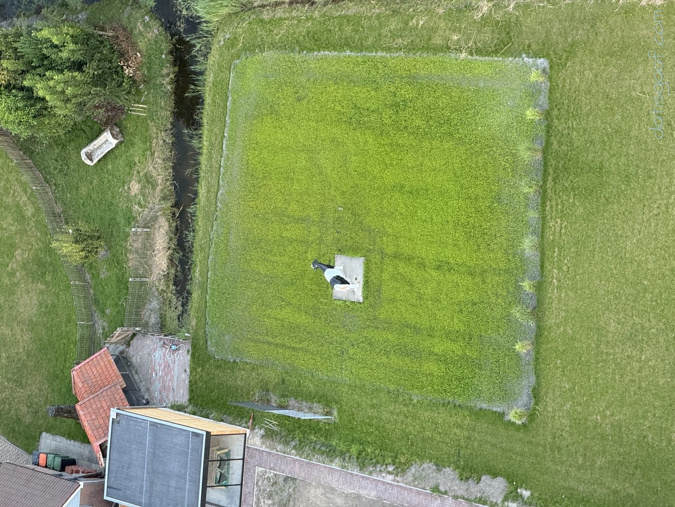 Copyright &copy DatisGaaf.com