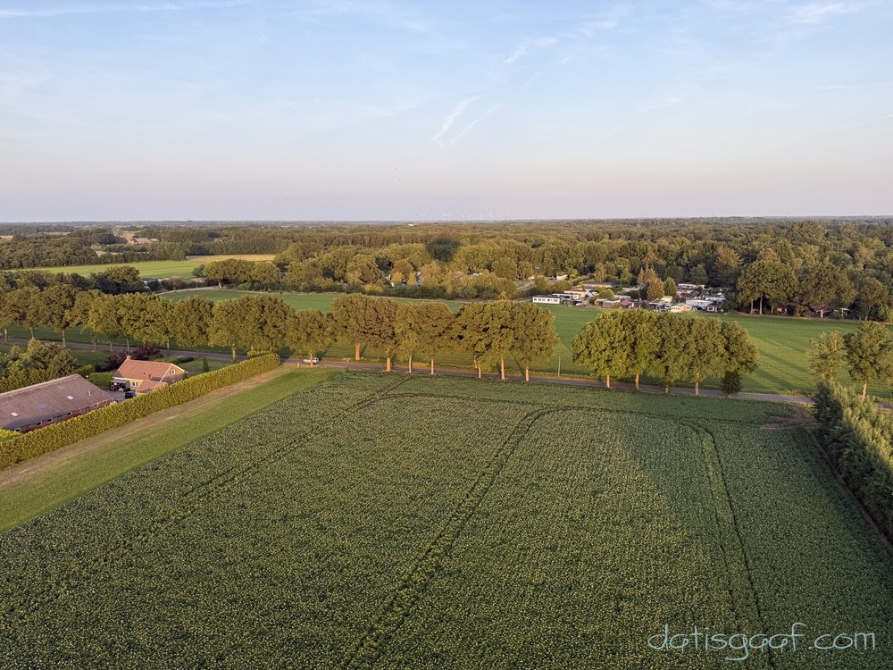 Copyright &copy DatisGaaf.com