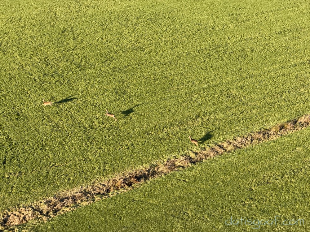 Copyright &copy DatisGaaf.com